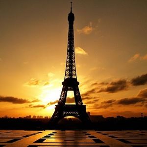 Meet your Posher, Arlene